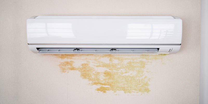 What does mold look like in air conditioners?