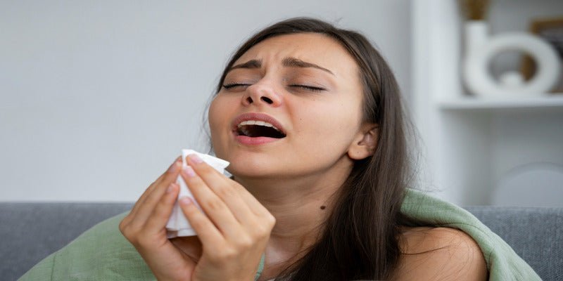 Сan Air Conditioning Cause Allergies? Everything You Need to Know