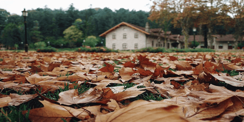 blog image